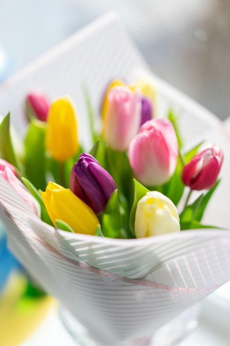 From above of bright delicate tulips with colorful petals and fresh green leaves